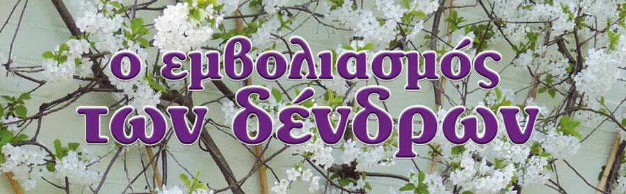 Ο εμβολιασμός των δέντρων Εμβολιασμός Δέντρων